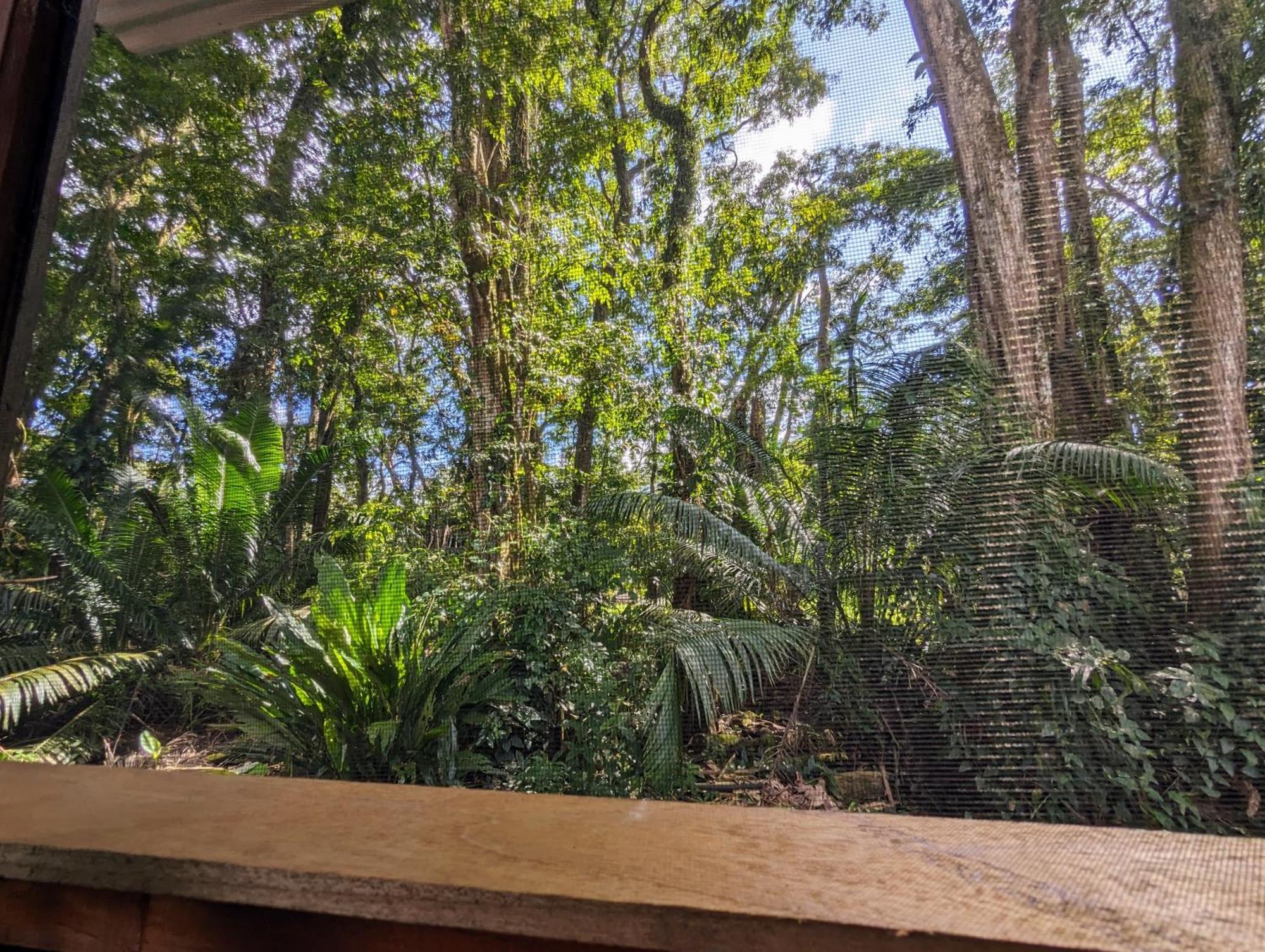 אוביטה Arboura Eco Cabins מראה חיצוני תמונה
