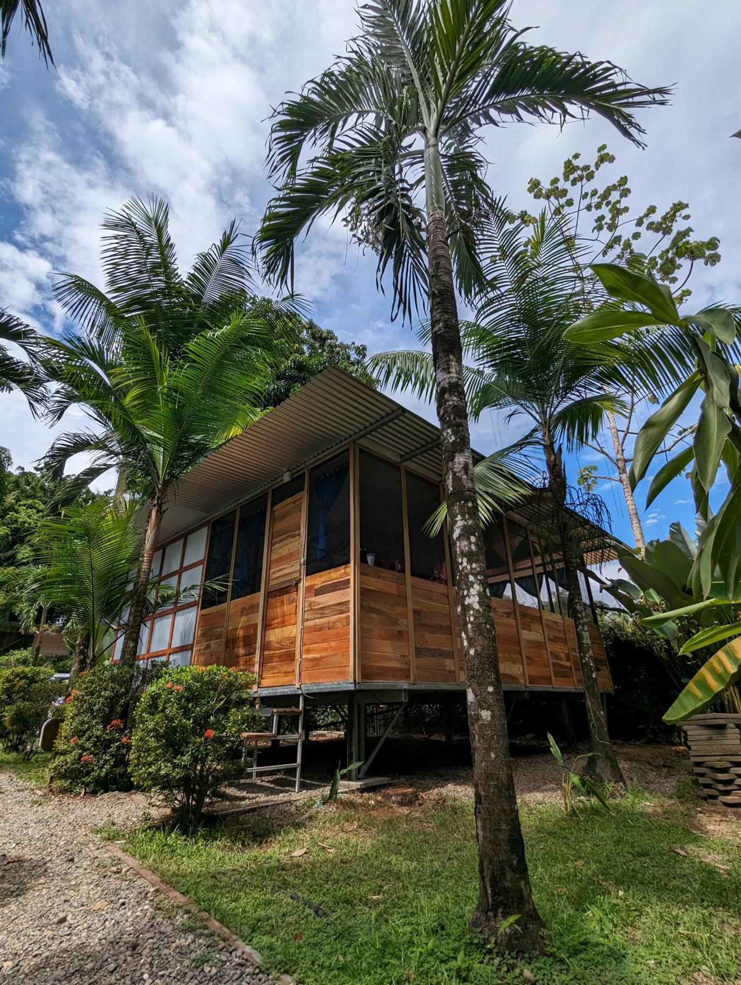 אוביטה Arboura Eco Cabins מראה חיצוני תמונה