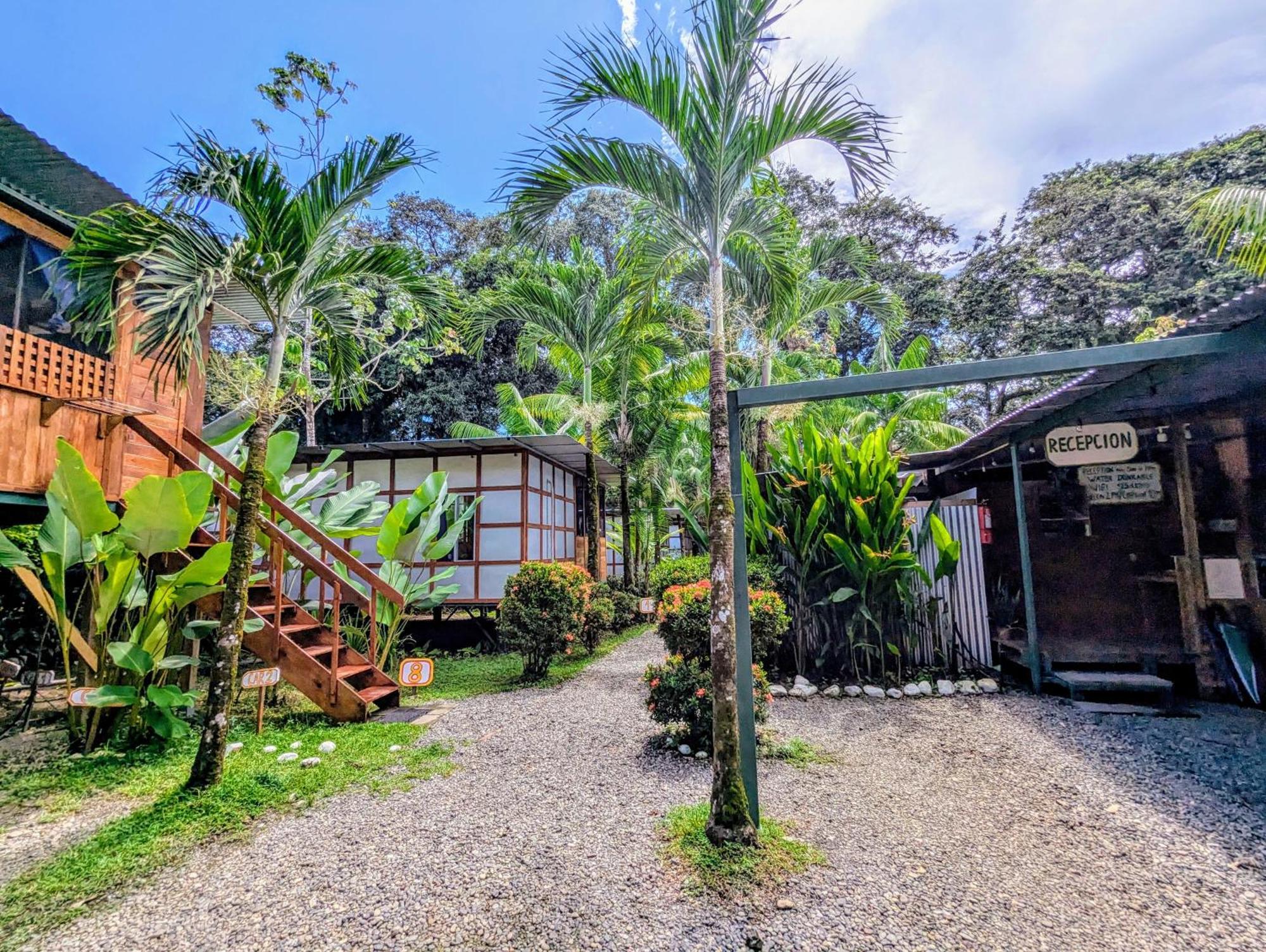 אוביטה Arboura Eco Cabins מראה חיצוני תמונה