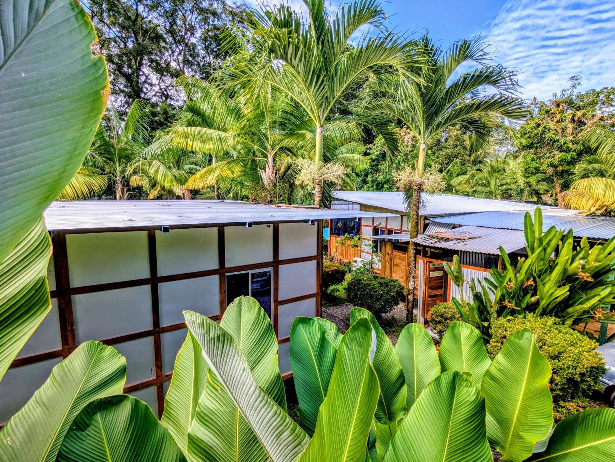 אוביטה Arboura Eco Cabins מראה חיצוני תמונה
