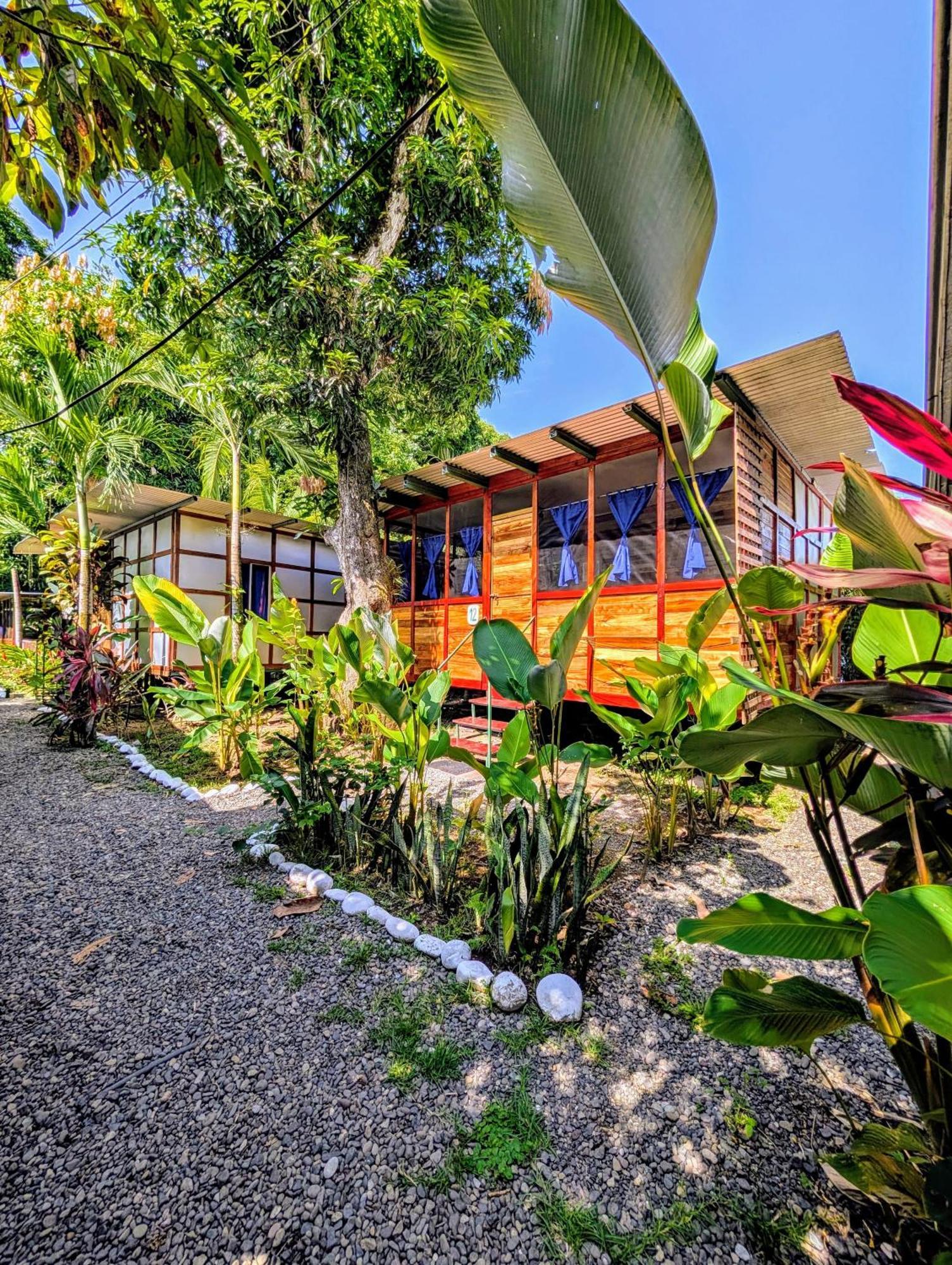 אוביטה Arboura Eco Cabins מראה חיצוני תמונה